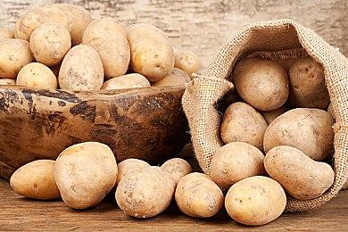 第三人称射击游戏《病毒特攻队》公布 登陆主机和PC